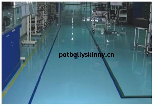 環(huan)氧樹脂(zhi)薄(bo)塗防(fang)靜(jing)電(dian)地(di)坪